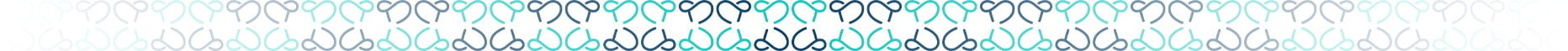 bottom-border-img footer image
